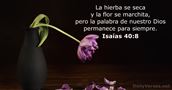 Isaías 40:8