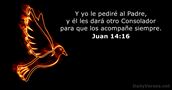 Juan 14:16