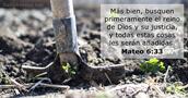 Mateo 6:33