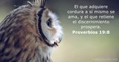 Proverbios 19:8