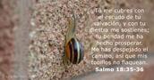 Salmos 18:35-36