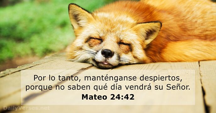 Mateo 24:42