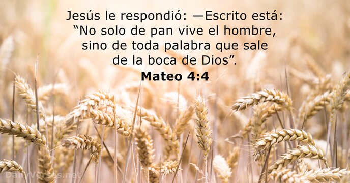 Jesús le respondió: —Escrito está: “No solo de pan vive el hombre… Mateo 4:4