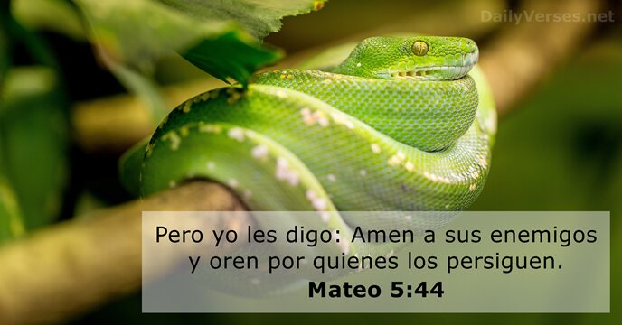 Pero yo les digo: Amen a sus enemigos y oren por quienes los persiguen. Mateo 5:44