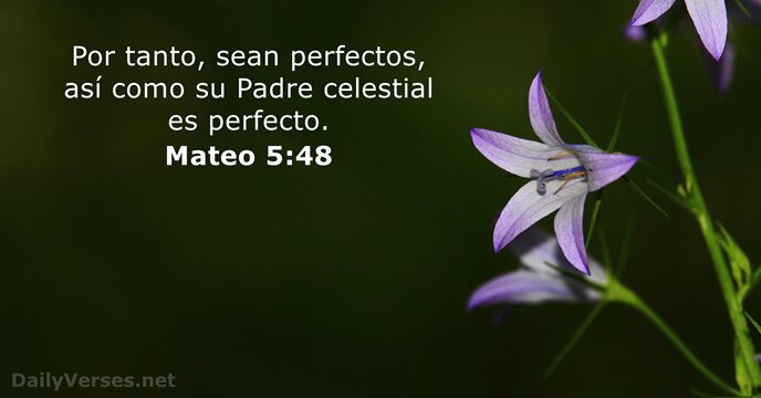 Por tanto, sean perfectos, así como su Padre celestial es perfecto. Mateo 5:48
