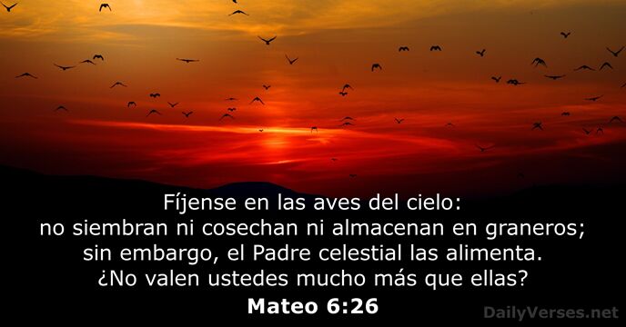 Mateo 6:26