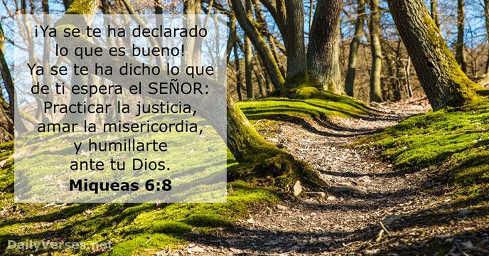 Miqueas 6:8 - RVR60 - Versículo de la Biblia del día - DailyVerses.net