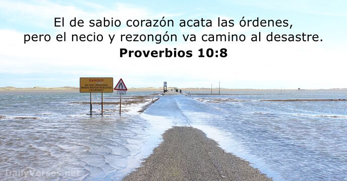 El de sabio corazón acata las órdenes, pero el necio y rezongón… Proverbios 10:8