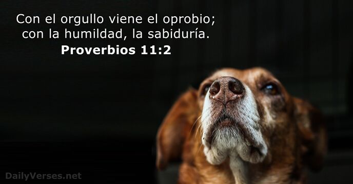 Proverbios 11:2