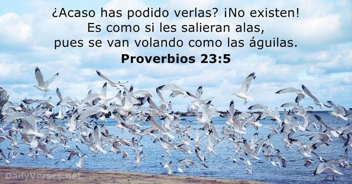 Proverbios 23:5