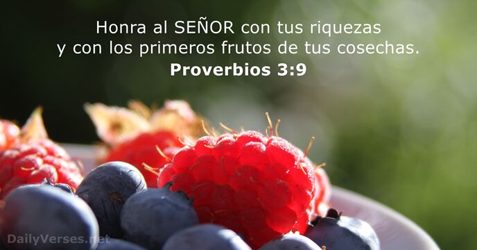 Honra al SEÑOR con tus riquezas y con los primeros frutos de tus cosechas. Proverbios 3:9