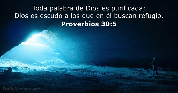 Proverbios 30:5