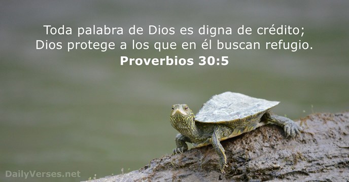 Toda palabra de Dios es digna de crédito; Dios protege a los… Proverbios 30:5
