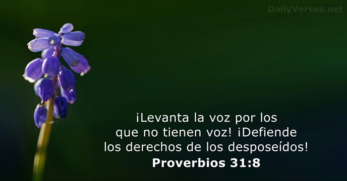 Proverbios 31:8