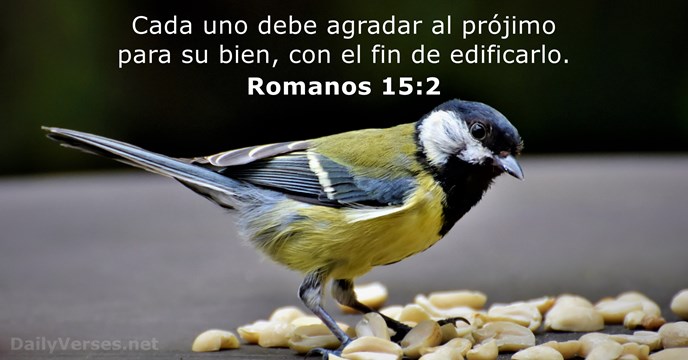 Romanos 15:2