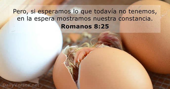 Romanos 8:25