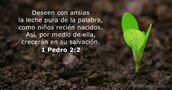 1 Pedro 2:2