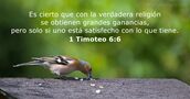 1 Timoteo 6:6