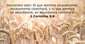 2 Corintios 9:6