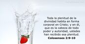 Colosenses 2:9-10