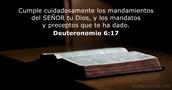 Deuteronomio 6:17