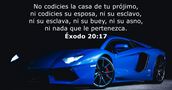 Éxodo 20:17