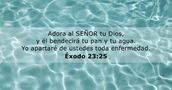 Éxodo 23:25