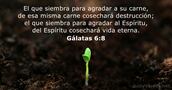 Gálatas 6:8