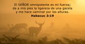 Habacuc 3:19