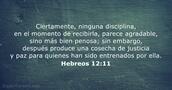 Hebreos 12:11