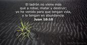 Juan 10:10
