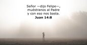 Juan 14:8
