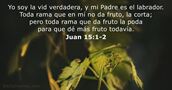 Juan 15:1-2