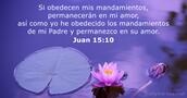 Juan 15:10