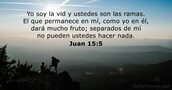 Juan 15:5