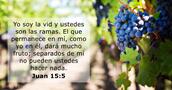 Juan 15:5
