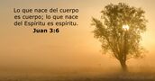 Juan 3:6
