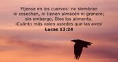 Lucas 12:24