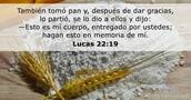 Lucas 22:19