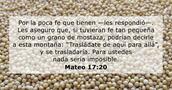 Mateo 17:20