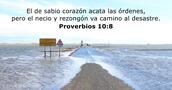 Proverbios 10:8