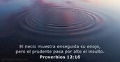 Proverbios 12:16