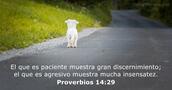 Proverbios 14:29