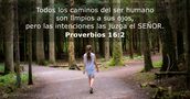 Proverbios 16:2