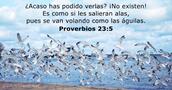 Proverbios 23:5