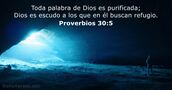Proverbios 30:5