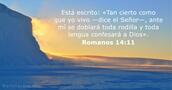 Romanos 14:11