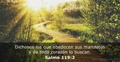 Salmo 119:2