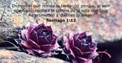 Santiago 1:12