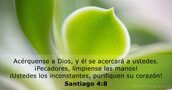 Santiago 4:8